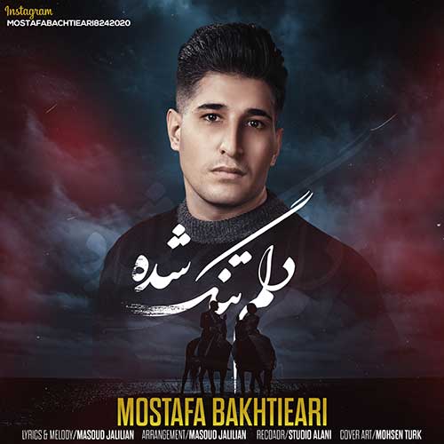 مصطفی بختیاری دلم تنگ شده